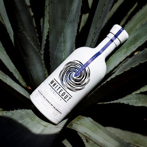 Whiteout Tequila bottle between agave leafs