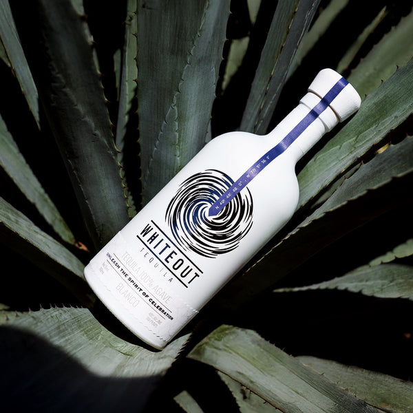 Whiteout Tequila bottle between agave leafs