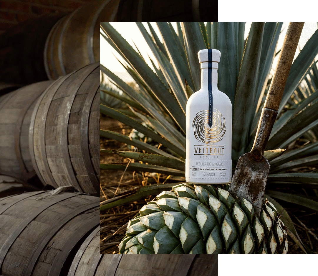Behind the process of Whiteout Tequila - Jalisco