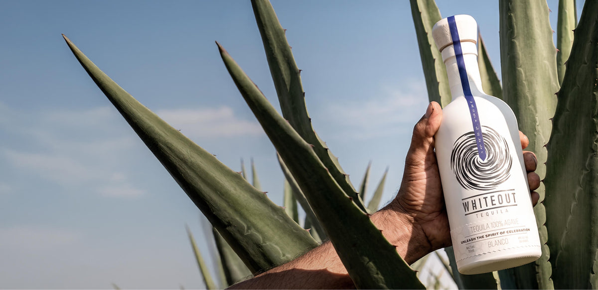 Whiteout Tequila Blanco bottle held among agave plants, connecting premium 100% agave tequila to its harvest origins.